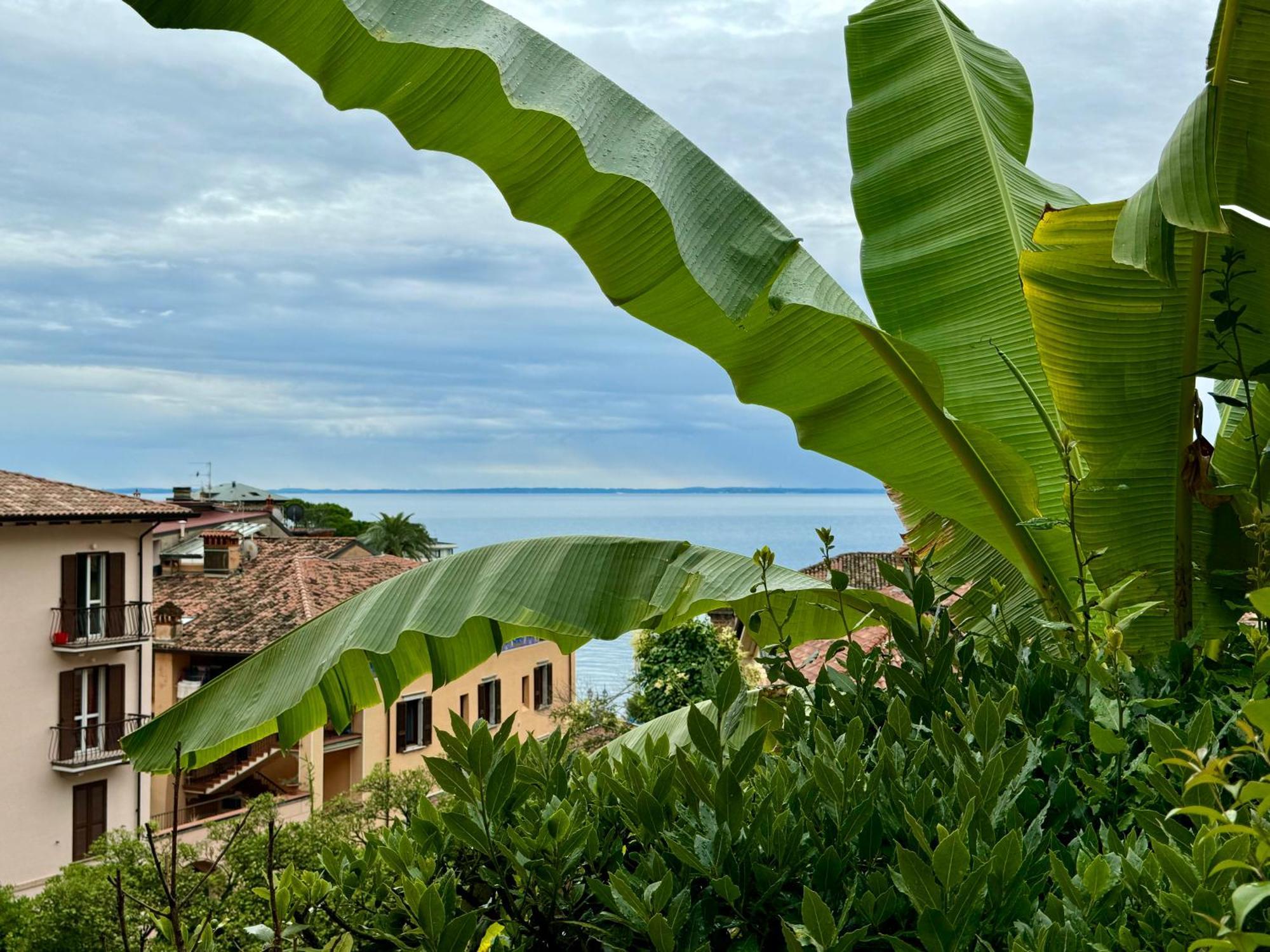 Casa Dolce Vita, Seeblick Toscolano Maderno Zewnętrze zdjęcie